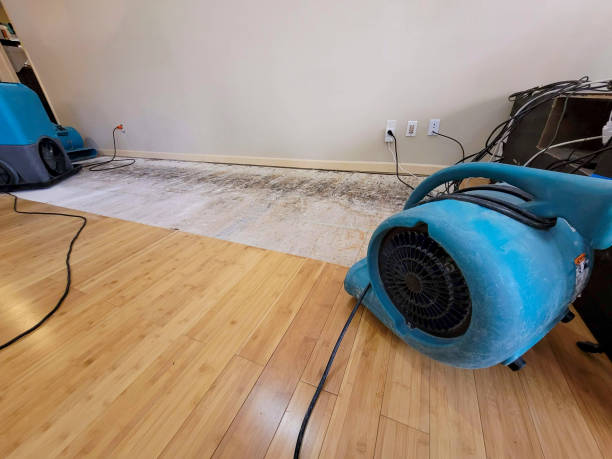 Professional Flood Damage Cleanup technician working in Danbury, WI
